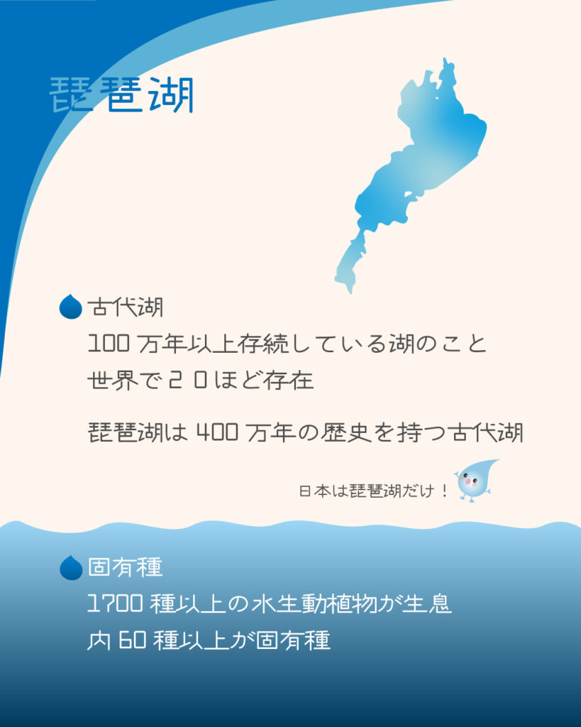 琵琶湖の古代湖と固有種