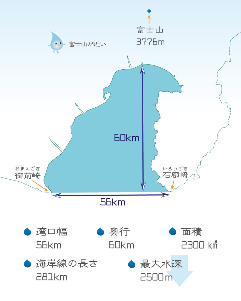 駿河湾の基本情報をイラスト図解