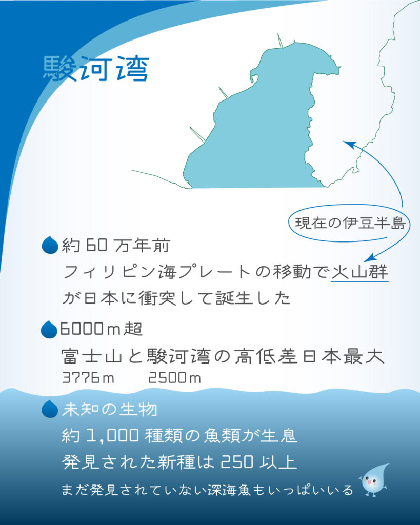 駿河湾の誕生と高低差、未知の生物について