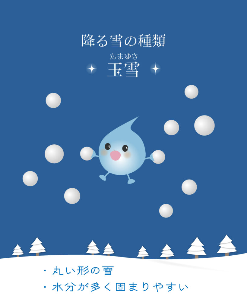 玉雪のイラスト