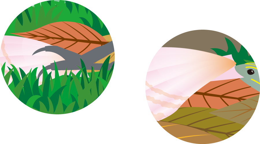 だれのたからもの?シーン2